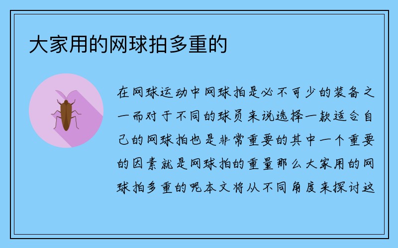 大家用的网球拍多重的