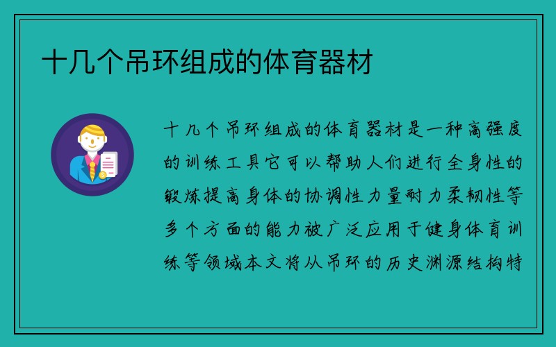 十几个吊环组成的体育器材